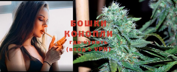 экстази Ельня