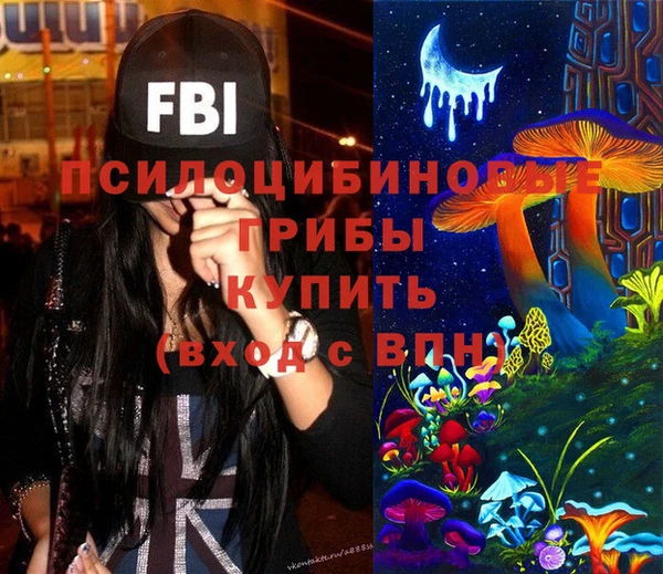 МДМА Елизово