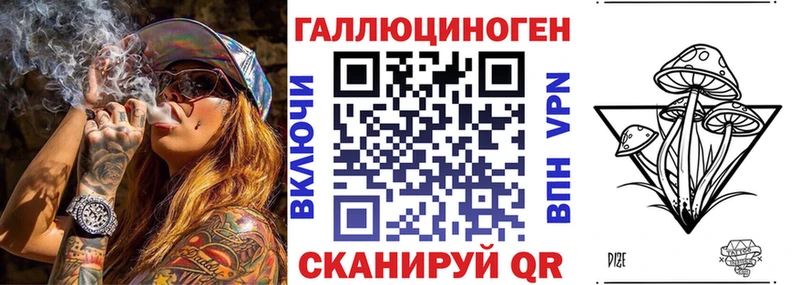 Купить где  Муравленко  Псилоцибиновые грибы Cubensis 
